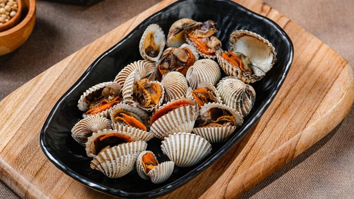 tips mengolah kerang dara