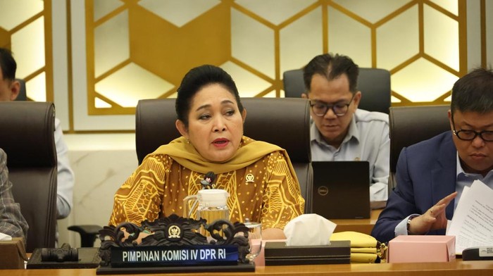 Ketua Komisi IV DPR RI Titiek Soeharto
