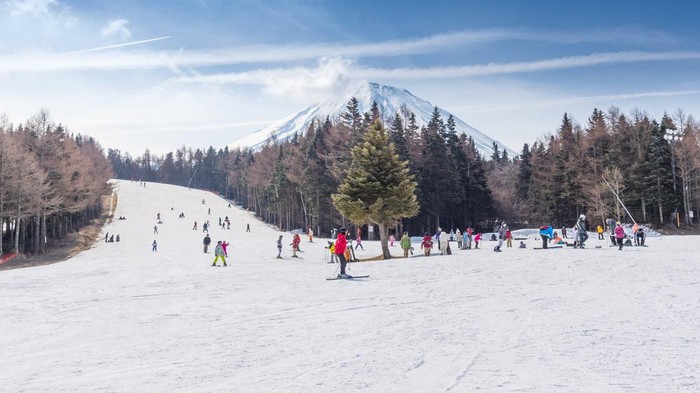 Liburan musim dingin di Hokkaido, Jepang