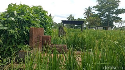 Jejak Kolonial di Blitar Ini Kini Menjadi Sawah