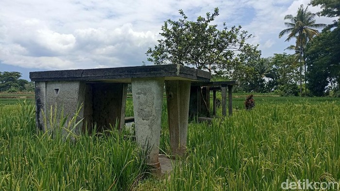 Menengok Makam Belanda Alias Bong Londo di Blitar yang Kini Jadi Sawah