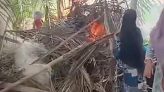 Sejumlah emak-emak perwiritan membakar gubuk narkoba. (Foto: Tangkapan layar video media sosial).
