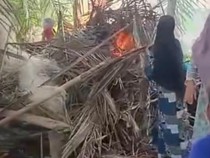 Emak-emak di Langkat Bakar Gubuk yang Digunakan Pengguna Narkoba