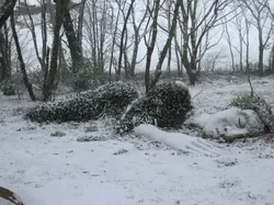 Memukau, Ketika Keindahan Seni Menyatu dengan Alam