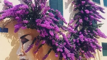 Bougainvillea Crown — Corfu, Yunani. Foto: StreetArtUtopia