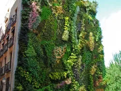 Memukau, Ketika Keindahan Seni Menyatu dengan Alam