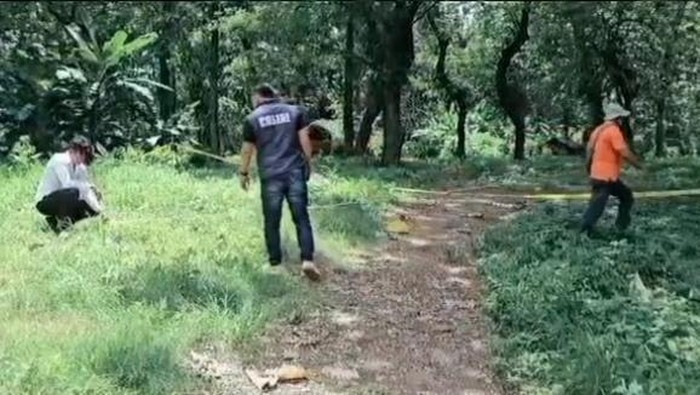 Lokasi penemuan mayat di kawasan hutan jati bekas tempat penimbunan kayu (TPK) Perhutani KPH Balapulang, masuk Desa Songgom, Kecamatan Songgom, Brebes.