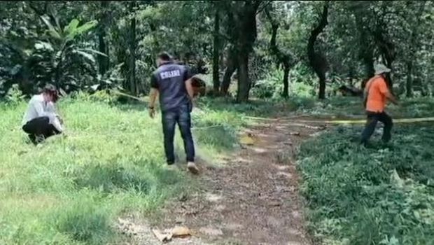 TKP Penemuan Mayat Lokasi penemuan mayat di kawasan hutan jati bekas tempat penimbunan kayu (TPK) Perhutani KPH Balapulang, masuk Desa Songgom, Kecamatan Songgom, Brebes.