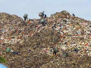 Indikasi Minat Pembiayaan untuk Proyek PSEL di 8 Kota Capai Rp 78 T