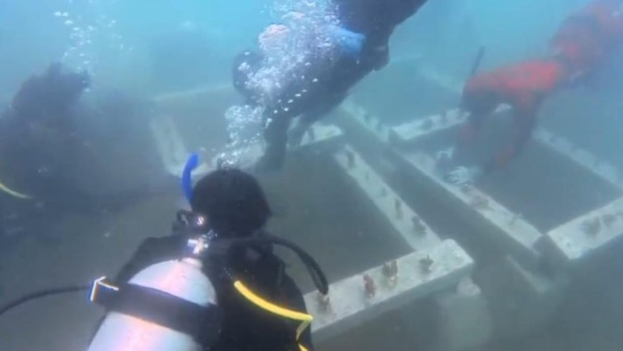 Transplantasi terumbu karang di Pantai Batukaras