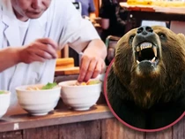 Wajahnya Berlumuran Darah, Chef Ini Tetap Kerja usai Diserang Beruang