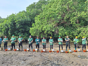 Dorong Ekonomi Hijau, Bank Indonesia Tanam 1.000 Mangrove di Bali