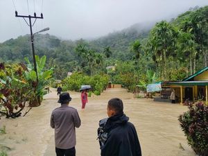 BNPB Update Korban Banjir-Longsor di Sumut: 116 Tewas-42 Hilang