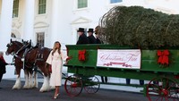 Melania Trump mengitari kereta, berinteraksi dengan pengemudi dan kuda, lalu berpose untuk foto bersama. REUTERS/Jonathan Ernst