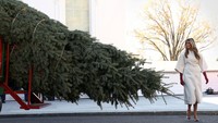 Pohon ini disambut langsung oleh Ibu Negara, Melania Trump, yang terlihat mengenakan mantel krem dan sarung tangan merah tua. REUTERS/Jonathan Ernst