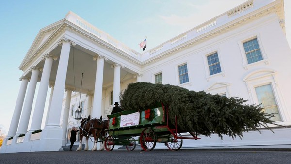 Pohon Natal Resmi Gedung Putih Tiba, Disambut oleh Melania Trump