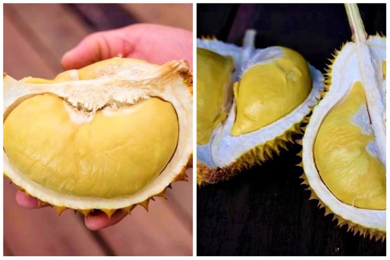 Durian Kalimantan