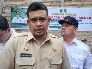 Teka-teki KPK Belum Periksa Bobby: Diusut Dewas, Digugat di Praperadilan