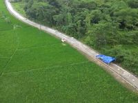 Masa Senja Industri Kehutanan Indonesia