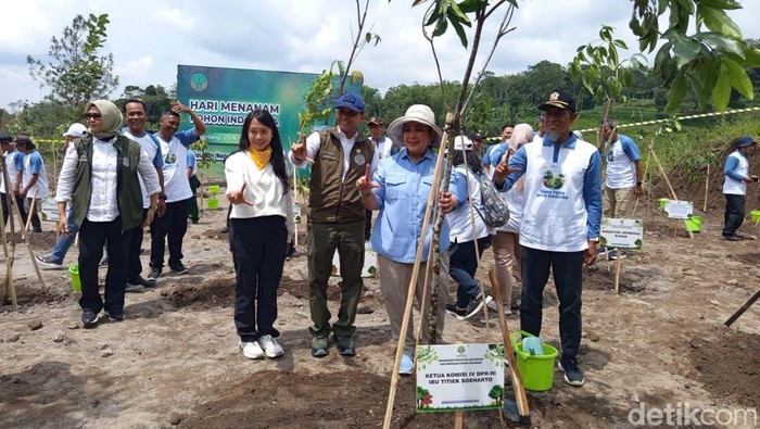 Ketua Komisi IV DPR RI Siti Hediati Hariyadi atau Titiek Soeharto bersama Menteri Kehutanan Raja Juli Antoni melakukan penanaman serentak di bekas lokasi tambang ilegal di kawasan Tanam Nasional Gunung Merapi wilayah Kabupaten Magelang, Selasa (25/11/2025).