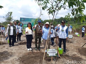 Titiek Soeharto dan Menhut Tanami Bekas Tambang Ilegal di Lereng Merapi