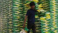 Seiring pencanangan target tersebut, Kementerian Pertanian mendorong peningkatan produktivitas melalui percepatan tanam, penyediaan benih unggul, dan optimalisasi irigasi di sejumlah sentra padi. ANTARA FOTO/Angga Budhiyanto