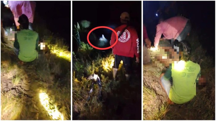 Pemancing di Tulang Bawang tewas usai diserang buaya