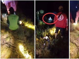Pemancing di Lampung Tewas Diserang Buaya, Kondisi Tubuh Tak Utuh