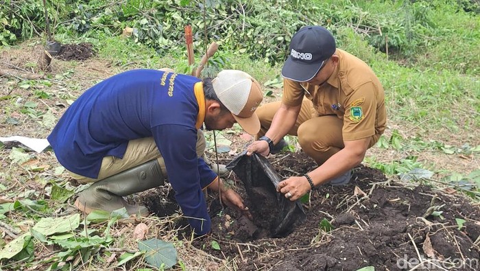 Penanaman tanaman langka Gunung Ciremai di Kuningan