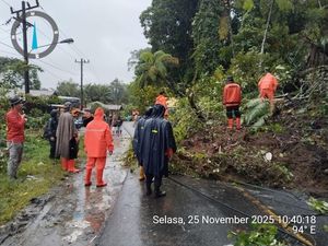 BNPB Bakal Evakuasi Korban Bencana Via Udara-Modifikasi Cuaca di Sumut