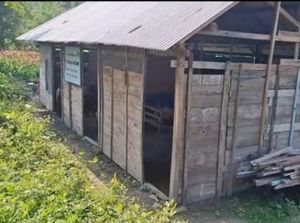 Miris Gedung Sekolah di Bojonegoro, Berdinding Kayu Berlantai Tanah