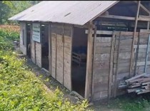 Miris Gedung Sekolah di Bojonegoro, Berdinding Kayu Berlantai Tanah