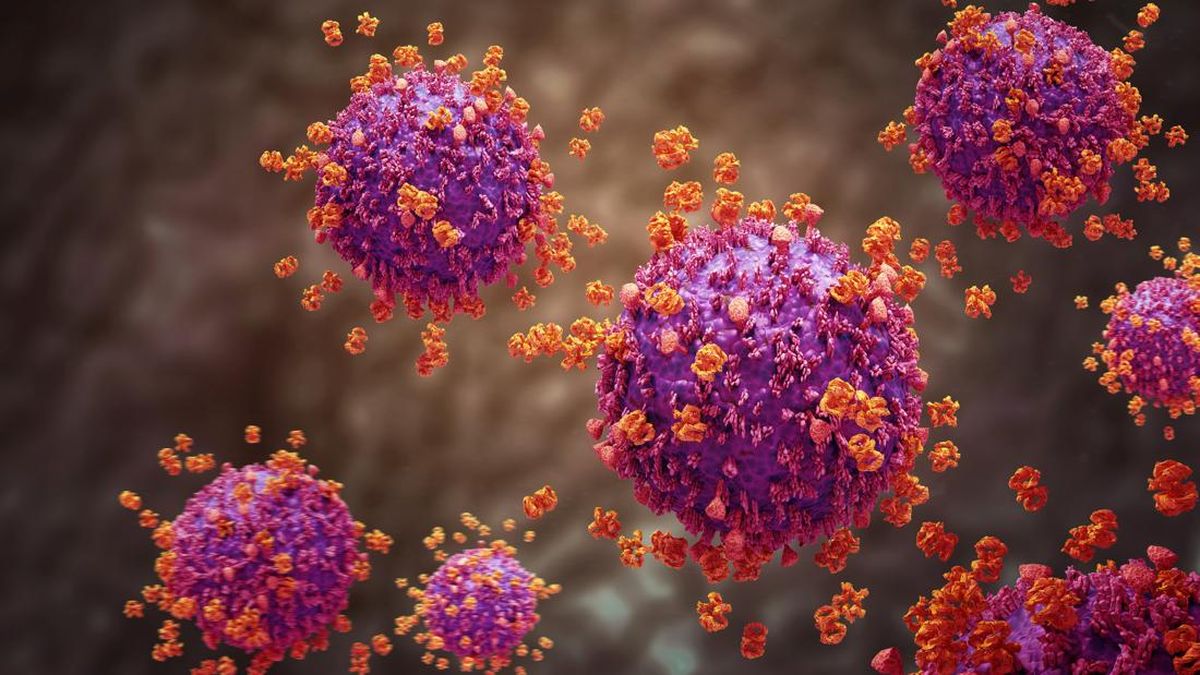 Indonesian Ministry of Health Provides Explanation Regarding the Spread of Influenza A Virus