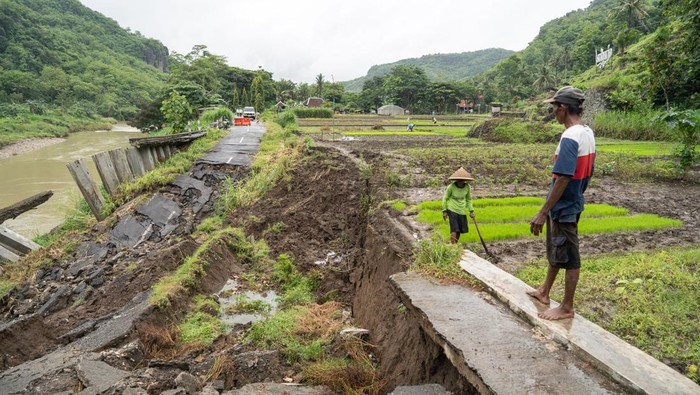 Warga berjalan melewati area persawahan di dekat jalan penghubung desa yang amblas di Sriharjo, Bantul, DI Yogyakarta, Rabu (26/11/2025). Jalan penghubung desa wisata Sriharjo dengan Selopamioro tersebut kembali amblas sepanjang 17 meter dan mengakibatkan ruas tersebut putus. ANTARA FOTO/Hendra Nurdiyansyah/foc.