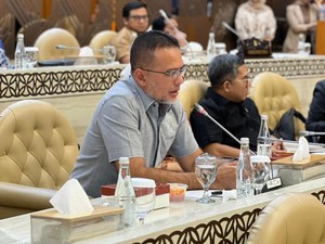 Anggota DPR Desak Pemerintah Cepat Antisipasi Bencana Alam Susulan di Sumut