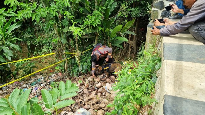 Polisi menurunkan anjing pelacak mencari kembali jasad bocah Alvaro Kiano yang dibunuh ayah tiri, di Jembatan Cilalay, Tenjo, Bogor.