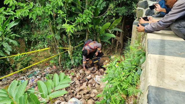 Polisi menurunkan anjing pelacak mencari kembali jasad bocah Alvaro Kiano yang dibunuh ayah tiri, di Jembatan Cilalay, Tenjo, Bogor. Polisi menurunkan anjing pelacak mencari kembali jasad bocah Alvaro Kiano yang dibunuh ayah tiri, di Jembatan Cilalay, Tenjo, Bogor.