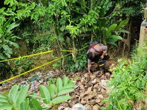 Potret Anjing Pelacak Sisir Jembatan di Tenjo Cari Kerangka Bocah Alvaro