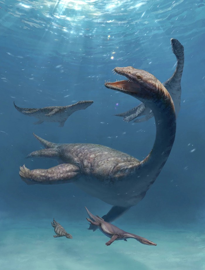 Ilustrasi reptil laut purba Lijiangosaurus yongshengensis (tengah)