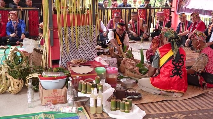 Tradisi nosu minu podi.