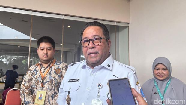 Wakil Gubernur (Wagub) DKI Jakarta Rano Karno (B Belia/detikcom)