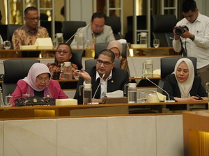 Anggota DPR Rajiv Soroti Isu Pembabatan Kawasan Hutan Mangrove di Sultra