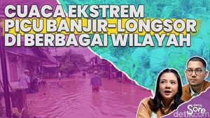 Video: Kabar Terkini Banjir dan Longsor di Sejumlah Wilayah Sumbar