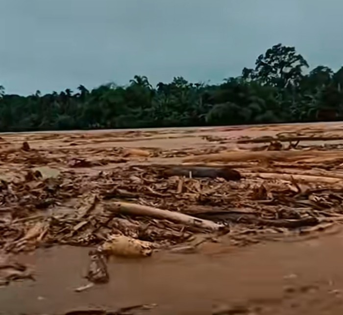Gelondongan kayu terbawa arus sungai saat banjir di Sibolga-Tapteng. (Tangkapan layar media sosial)