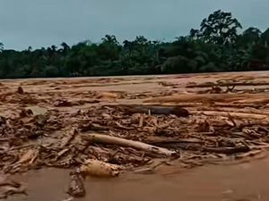 BPBD Update Korban Banjir-Longsor di Sumut: 290 Tewas-154 Hilang