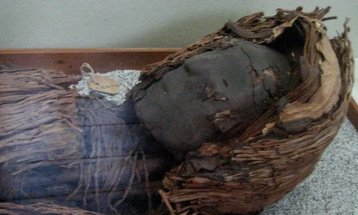 Mumi kuno di Chile