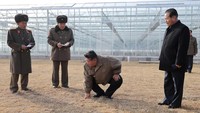 Proyek greenhouses ini disebut telah memasuki tahap akhir, meski detail tambahan mengenai kapasitas maupun tujuan operasionalnya tidak disebutkan dalam rilis resmi KCNA. via REUTERS/KCNA