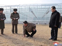 Kim Jong Un Tinjau Pembangunan Kompleks Rumah Kaca Sinuiju