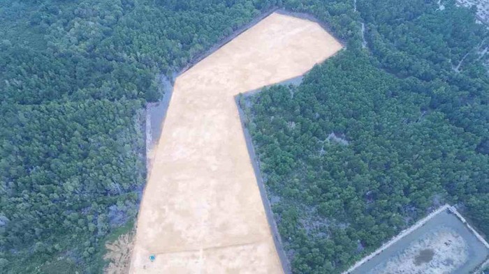 Penampakan hutan mangrove diduga dibabat untuk pembangunan rumah pribadi Gubernur Sultra Andi Sumangerukka. Dokumen Istimewa