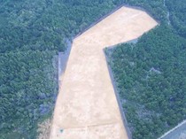 Gubernur Sultra Diduga Babat 3 Hektare Mangrove untuk Rumah, DLHK Buka Suara